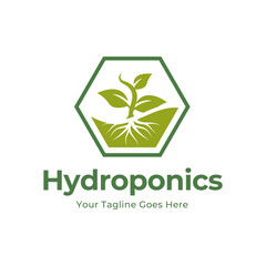 hydroponics logo vector illustration design isolated on white background
