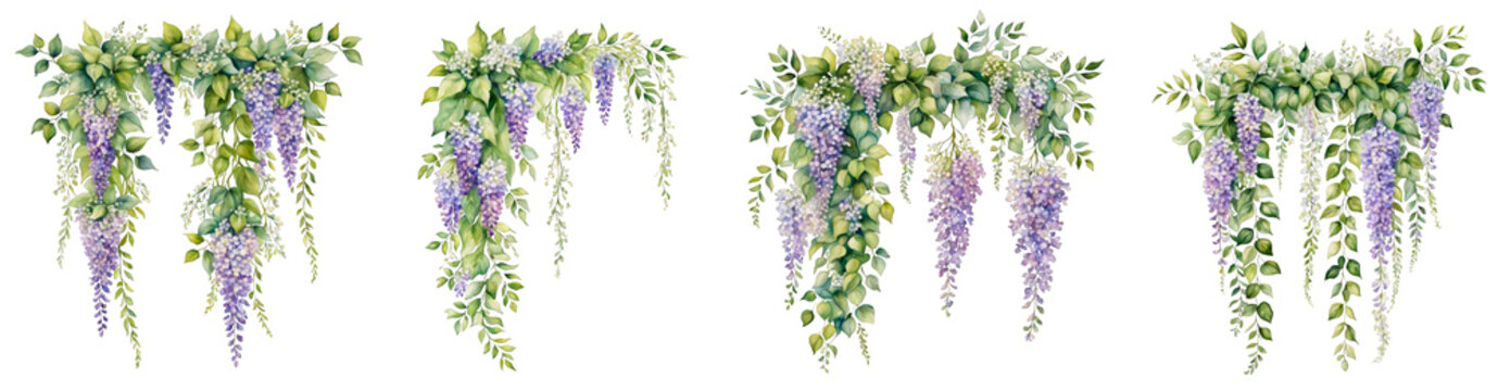 Flower wall climbing plants, with wisteria vine trailing ivy and leave, watercolor illustration set of 4 vine plants, floral decoration clipart for wedding invitation thankyou, greetings cards, purple