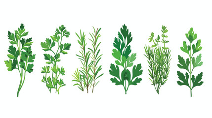 Aromatic Herbs with Parsley and Rosemary for Flavor - obrazy, fototapety, plakaty