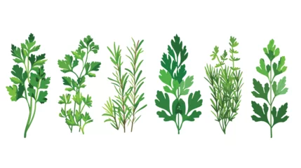 Poster Aromatic Herbs with Parsley and Rosemary for Flavor © iclute