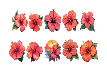 Obraz premium Set of flowers collection