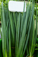 Green onion or scallion for sale at a street market in São Paulo, Brazil.
