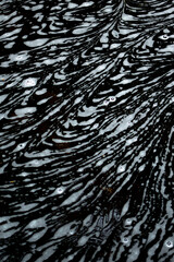 Bubbles in the water