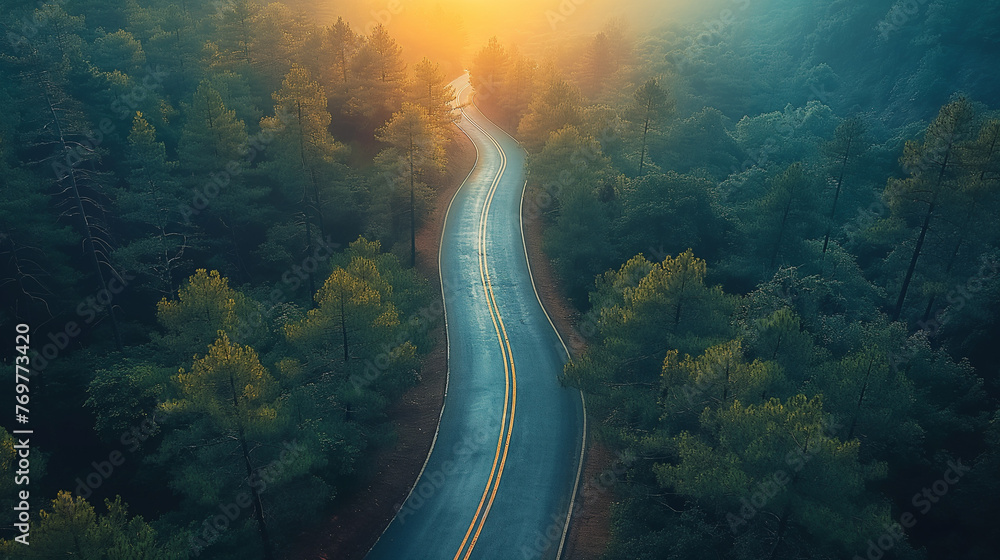 Wall mural A winding road in a green forest. - Wall murals