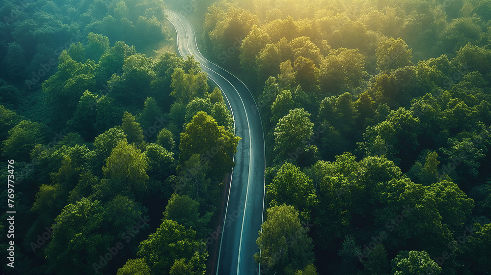 Sticker A winding road in a green forest.