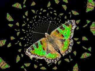 Butterflies Small tortoiseshell, Aglais urticae - abstract composition with open colorful wings, neon green color, depth and space effect and black background. Topics: beauty of nature, computer art