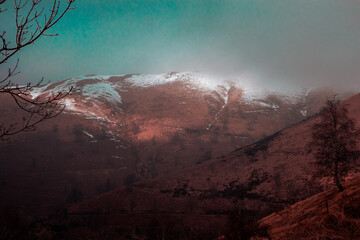 The mountain lost in the mist. Winter setting: sleeping naturel with bare trees and fog. Mottarone...