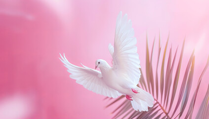 Peaceful Flight: Serene White Dove in Pink Sky