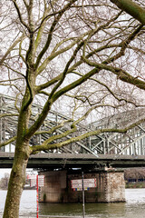 On a steel bridge over the river, red trains run obscured by tree branches