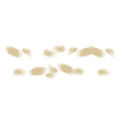 seeds isolated on white