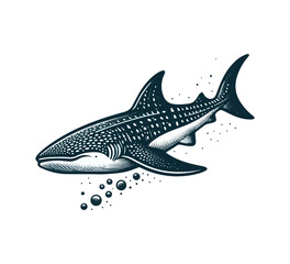 Whale Shark hand drawn vector illustration