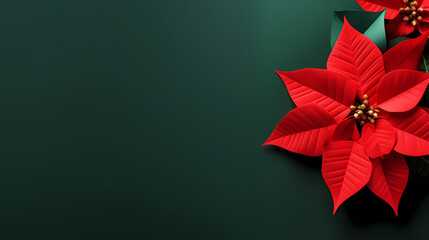 poinsettia flower, decorative flower