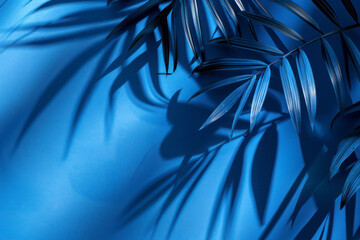 Abstract blue background with shadow of palm leaves for the presentation of a cosmetic product.