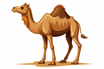 realistic high detailed camel full body isolated o