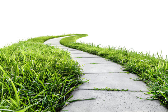 path through the grass on white transparent background