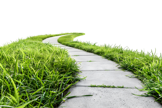path through the grass on white transparent background - Powered by Adobe