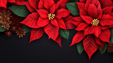 Poinsettia flower with copy space