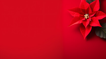 Poinsettia flower with copy space