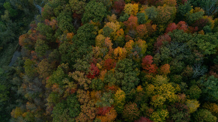 Naklejka premium An aerial view of a colorful fall Forest and Valley with a creek running through it