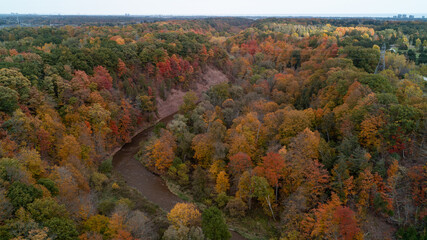 Obraz premium An aerial view of a colorful fall Forest and Valley with a creek running through it