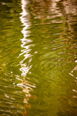 Green lake river water texture background