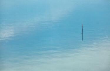 Background blank, calm blue water surface.