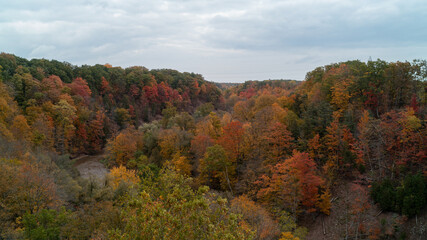 An aerial view of a colorful fall Forest and Valley with a creek running through it