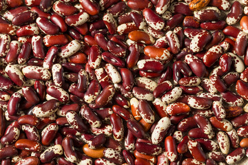 Dry Organic Cattle Kidney Beans
