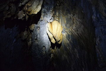 Stalactite in a cave. Underground river tour in Sabang, Puerto Princessa, Philippines
