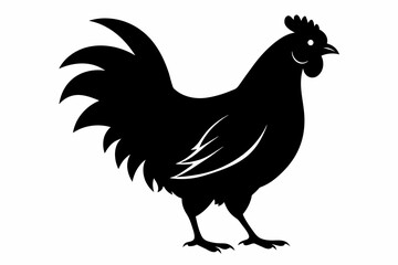 Hen silhouette white background