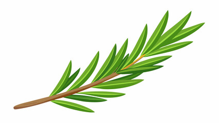  A sprig of fresh rosemary with its strong aroma and reputation for improving memory and cognition waiting to be incorporated into a healing
