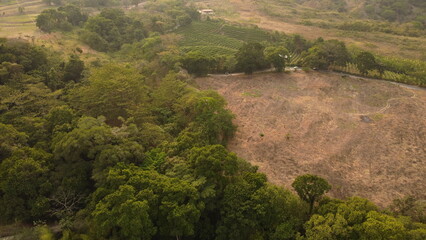 aerial view of the city of ibague in beautiful sunset

