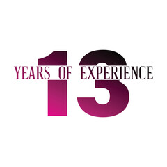 13 years of experiance