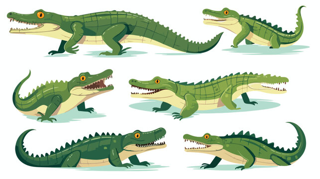 Collection of crocodiles predatory amphibian animal