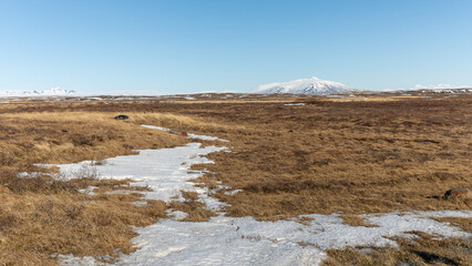 Beautiful icelandic landscape in Selfoss, Iceland on march 2024