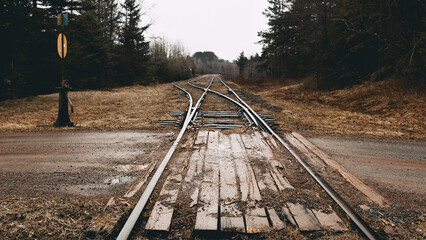 Low angle perspective of  rural railway or railroad tracks