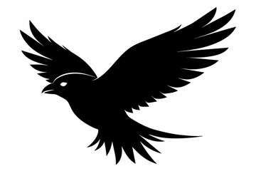 flying bird vector illustration silhouette black