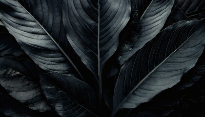 Silhouetted Serenity: Abstract Black Leaves Texture for Tropical Elegance"