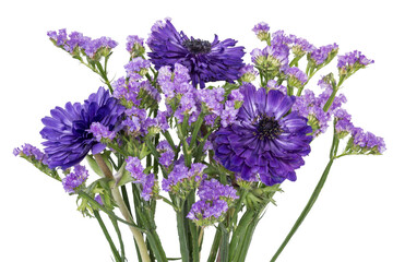 bouquet of blue flowers of statice and anemone of blue terry on a white background isolated