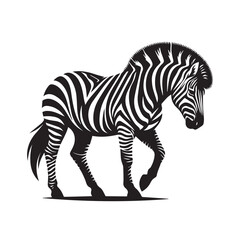 Fototapeta na wymiar zebra silhouette image ,zebra silhouette clipart ,zebra silhouette vector ,zebra silhouette png 