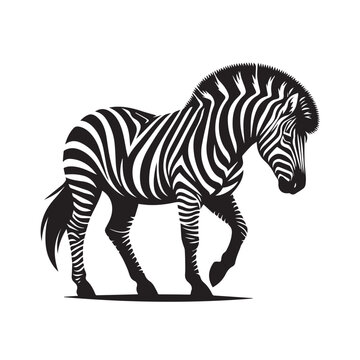 zebra silhouette image ,zebra silhouette clipart ,zebra silhouette vector ,zebra silhouette png 