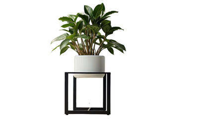 Sleek Metal Plant Stand with Potted Plants on isolated white background