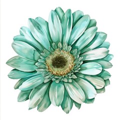Watercolor lime gerbera flower on white background