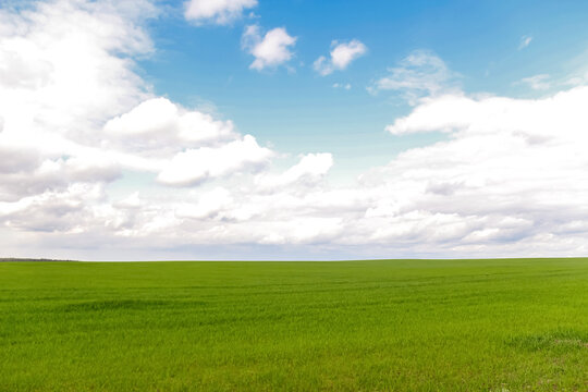 Defocus blue sky background with tiny white clouds and green meadow. Panorama blue sky background with clouds.. Windows wallpapers. Out of focus