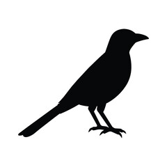 silhouette of a oriole bird on white