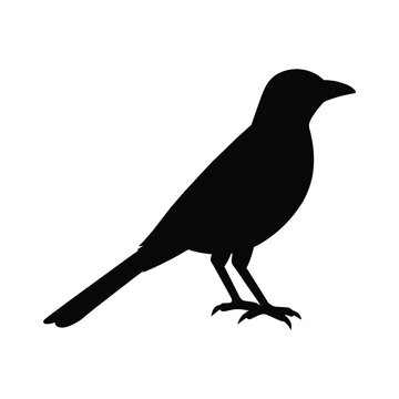 recommend clip art: silhouette of a oriole bird on white