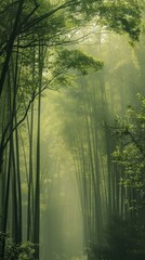 A vertical panorama of a dense bamboo forest, its towering green canopy filtering ethereal light, evokes tranquility and grandeur.