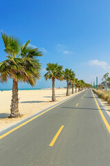 bike path with palm trees along Kite beach in Dubai, United Arab Emirates