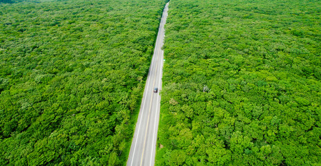 제주도 한라산 1100 도로 숲길 드라이브 풍경