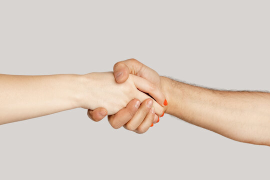 Closeup of diverse woman and man handshaking, agreement sign, greeting eachother. showing Indoor studio shot isolated on gray background.